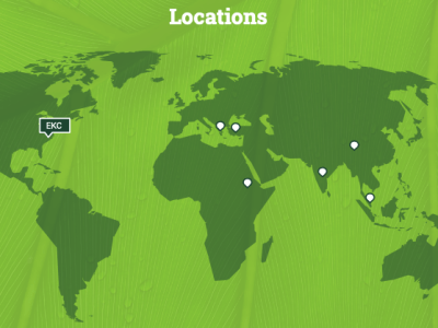 What are the most “vegan” countries?